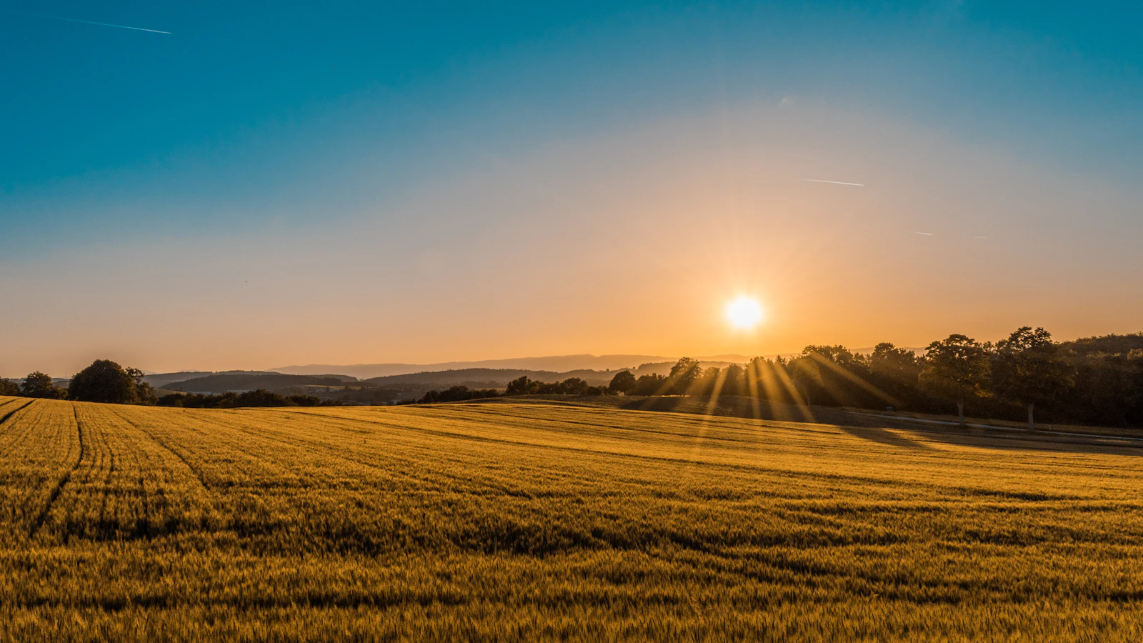 Paisagem de campos cultivados iluminados pelo sol